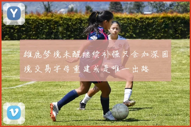 雄鹿梦境未醒继续补强只会加深困境交易字母重建或是唯一出路