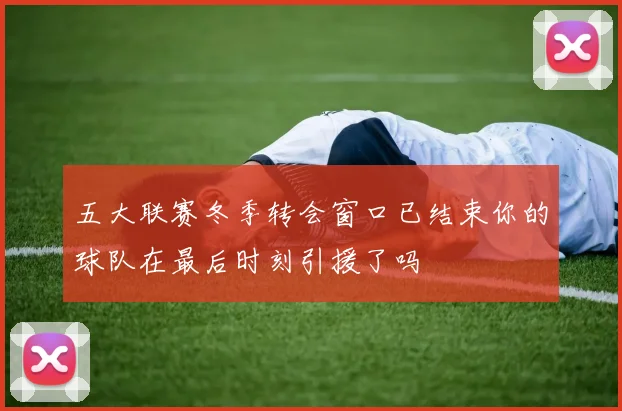 五大联赛冬季转会窗口已结束你的球队在最后时刻引援了吗